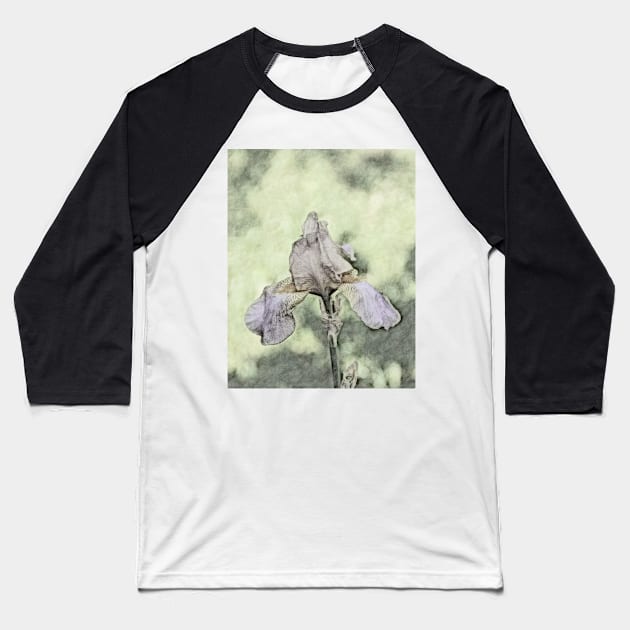 Iris Baseball T-Shirt by johnwebbstock